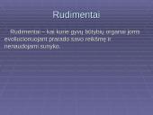 Morfologiniai ir biogeografiniai evoliucijos įrodymai 10 puslapis