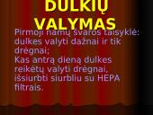 Namų dulkes 14 puslapis