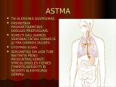 Namų dulkes 17 puslapis