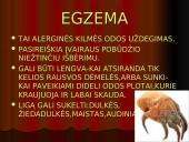 Namų dulkes 19 puslapis