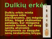 Namų dulkes 4 puslapis