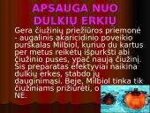 Namų dulkes 7 puslapis