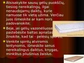 Namų dulkes 9 puslapis