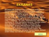 Nešiojami kompiuteriai 6 puslapis