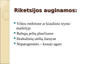 Obligatyvieji viduląsteliniai prokariotai – riketsijos: morfologija, sandara, savybės 14 puslapis
