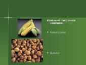 Organinė chemija ir junginiai iš anglies 12 puslapis