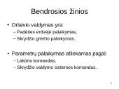 Orlaivio valdymo sistemos 2 puslapis