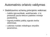 Orlaivio valdymo sistemos 11 puslapis