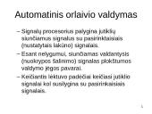 Orlaivio valdymo sistemos 12 puslapis