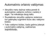 Orlaivio valdymo sistemos 17 puslapis