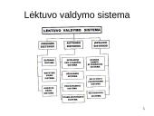 Orlaivio valdymo sistemos 4 puslapis