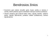 Orlaivių prietaisai 2 puslapis