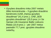 Pabaltijo draudimo rinka: ekonominės situacijos įvertinimas ir perspektyvos 17 puslapis
