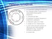 Padangų savybės 2 puslapis