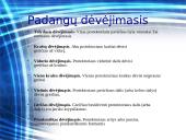 Padangų savybės 5 puslapis