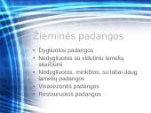 Padangų savybės 6 puslapis