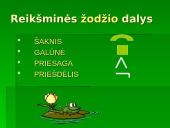 Pagrindinės lietuvių kalbos taisyklės 12 puslapis