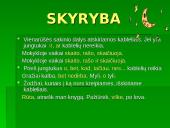 Pagrindinės lietuvių kalbos taisyklės 13 puslapis