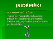 Pagrindinės lietuvių kalbos taisyklės 4 puslapis