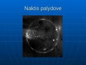 Palydovas IJO 11 puslapis