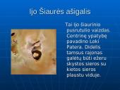 Palydovas IJO 18 puslapis