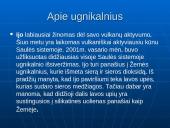 Palydovas IJO 7 puslapis