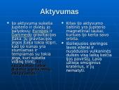 Palydovas IJO 10 puslapis