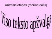 Pamoka 11 klasei: Kaip sėkmingai parašyti teksto analizę ir interpretaciją mokykloje 7 puslapis
