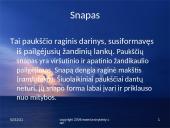 Paukščių snapai, snapo sandara, paukščių mityba 2 puslapis