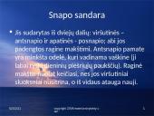 Paukščių snapai, snapo sandara, paukščių mityba 3 puslapis