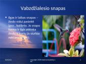 Paukščių snapai, snapo sandara, paukščių mityba 7 puslapis