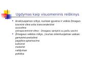 Pedagogikos objektas ir dalykas 2 puslapis