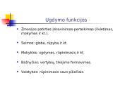 Pedagogikos objektas ir dalykas 4 puslapis