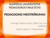 Pedagoginė veikla bei pedagoginis meistriškumas