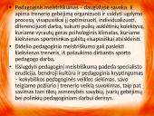Pedagoginė veikla bei pedagoginis meistriškumas 12 puslapis