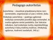 Pedagoginė veikla bei pedagoginis meistriškumas 17 puslapis