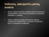 Pelno ir pelningumo analizė 9 puslapis