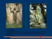 Performansas ir hepeningas 12 puslapis