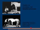 Performansas ir hepeningas 10 puslapis