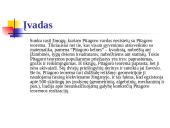 Pitagoras ir jo moksliniai pasiekimai 3 puslapis