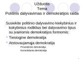Politinis dalyvavimas 19 puslapis