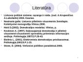 Politinis dalyvavimas 20 puslapis