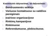 Politinis dalyvavimas 5 puslapis