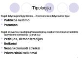 Politinis dalyvavimas 6 puslapis