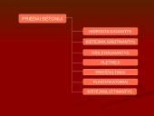 Priedai betonams 3 puslapis