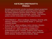 Priedai betonams 6 puslapis