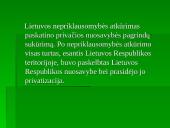 Privatizavimas Lietuvoje: būdai ir pasekmės 2 puslapis