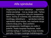 Radioaktyvumo poveikis gyvajam organizmui 5 puslapis