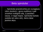 Radioaktyvumo poveikis gyvajam organizmui 6 puslapis