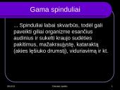 Radioaktyvumo poveikis gyvajam organizmui 7 puslapis